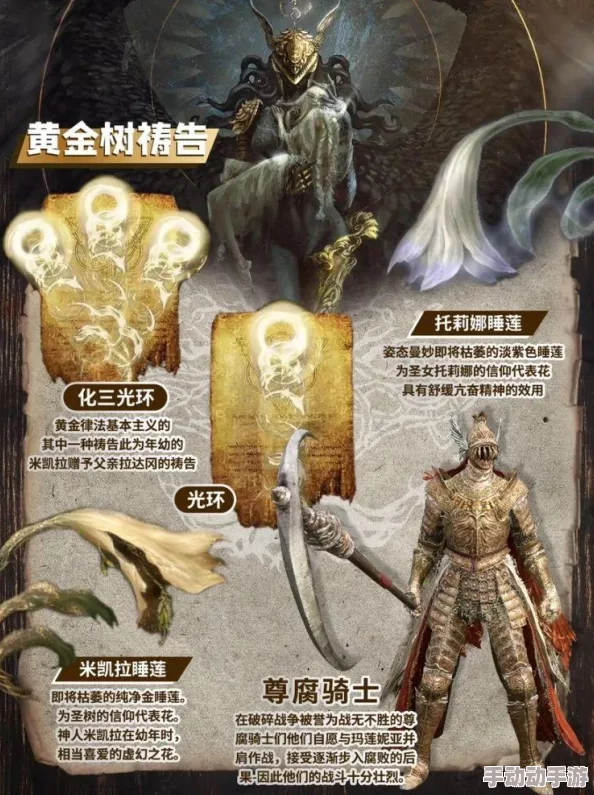 艾尔登法环黄金树之影DLC：打造极致旋刺出血流派，战术策略与装备搭配实战指南