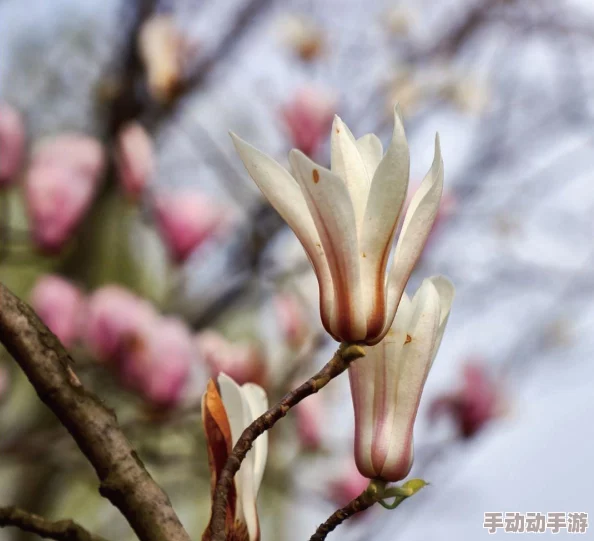 探寻原始征途：揭秘天工神匠隐世之地，解锁匠心传承之谜境