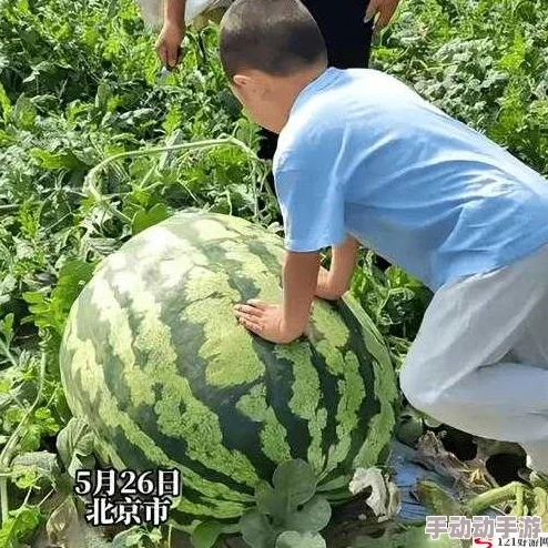 今日吃瓜51cg热门大瓜反差，引人深思、博采众长