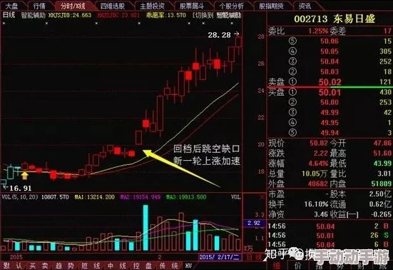 全面解锁归龙潮白鹭挑战：高效策略与技巧助你轻松通关指南