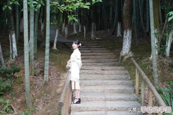 《心灵杀手2》第九章：幽林迷踪——全方位解密与探险策略指南