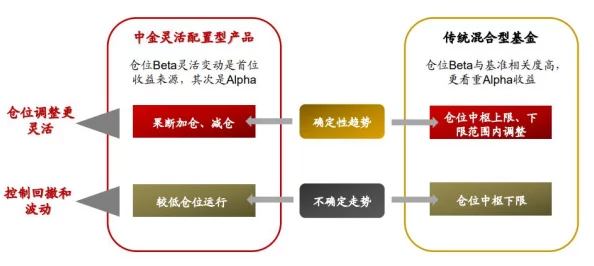 时光杂货店：创新经营策略与特色商品打造，加速盈利新路径探索