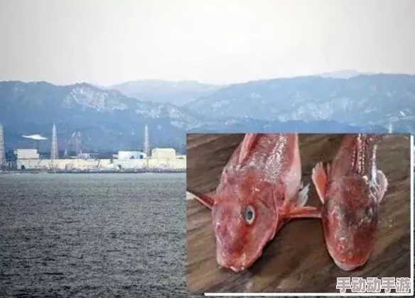 辐射4：探索最佳瞄准键位，提升沉浸感与射击精准度的技巧