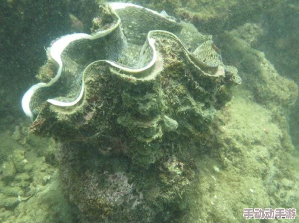 《我的世界》高效生存技巧：精准投放食物，优化资源管理与游戏体验策略