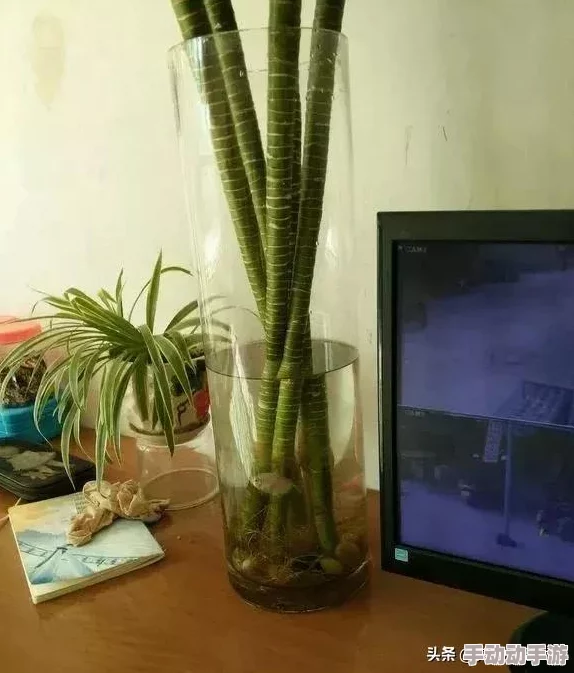 《我的世界》高效生存技巧：精准投放食物，优化资源管理与游戏体验策略