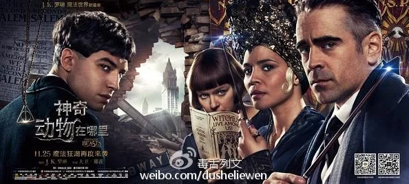 荣耀与冠军：衡量成功价值的双刃剑，哪个更能彰显个人魅力与社会认可度？