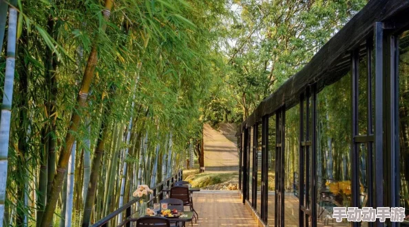 《仙剑奇侠传5》仙竹林秘境：怪物封印机制与珍稀属性掉落全攻略，揭秘自然之灵的秘密宝藏