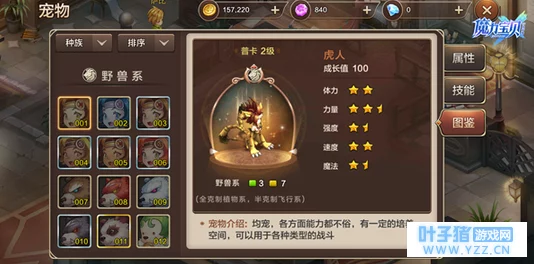 探索超神纪元：宠物系统全面觉醒玩法指南与策略深度剖析