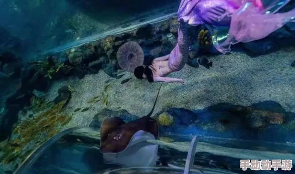 探秘魔法樱树岭：珍稀精灵鱼与奇特象拔蚌领衔，全面解锁水域生物多样性奇观