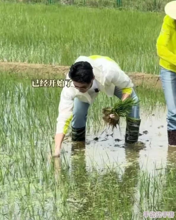 夫妻插秧100种方法图片大全：网友热议这些创意与技巧，分享各自的经验和乐趣，让农活变得更加有趣！