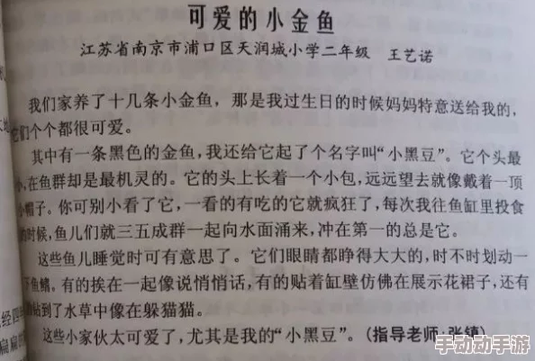 探索后妈的桃花源作文：对家庭关系的再思考与亲情的深刻解读