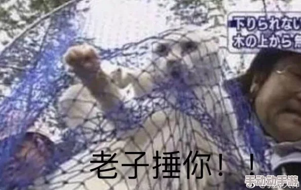 海角乱沦：网友热议这一现象背后的社会问题与文化冲突，呼吁关注弱势群体的生存状态与心理健康