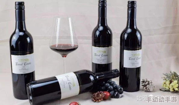 这瓶红酒是给你下面喝的信白，了解红酒的品种、口感与搭配美食的最佳建议，提升你的饮酒体验