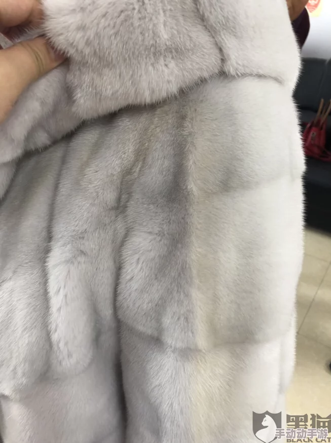 AAAAA及毛皮最建议买吗？了解选购时需注意的质量标准与保养技巧，助你做出明智选择