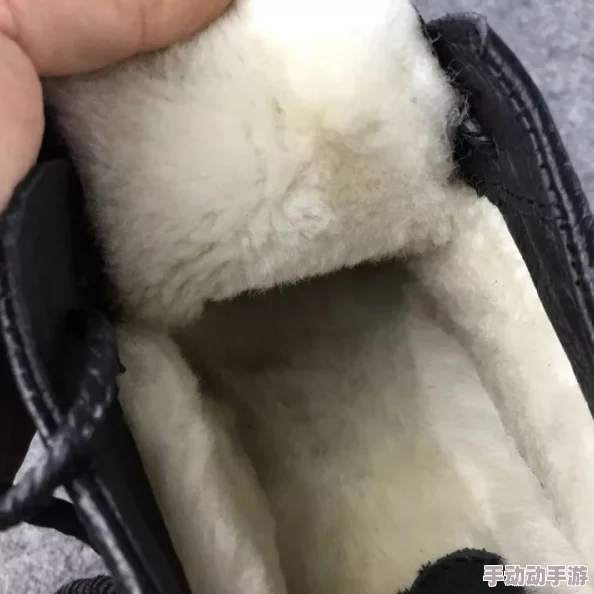 AAAAA及毛皮最建议买吗？了解选购时需注意的质量标准与保养技巧，助你做出明智选择