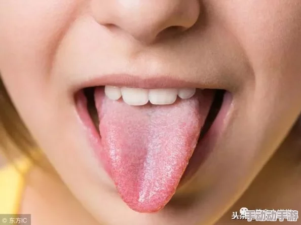 舌头探洞水好多：揭秘舌头的结构与功能，以及舌头在味觉与感知中的重要性