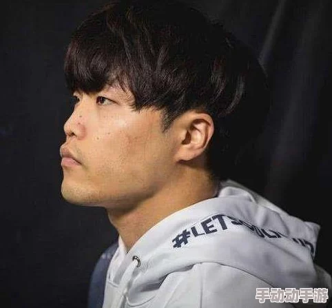 C级忍者没落背后的策略博弈：淘汰赛Ban选机制深度影响与应对策略探讨