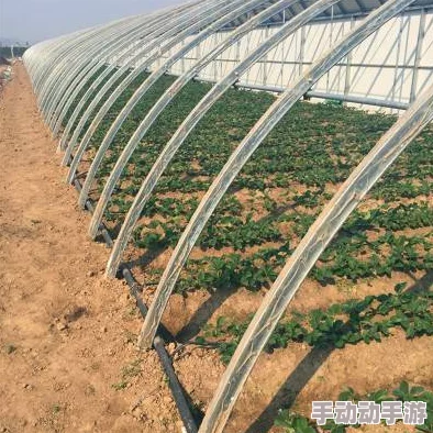 苏软软优质灌溉系统汉怡昏：分析其在现代农业中的重要性与应用效果研究