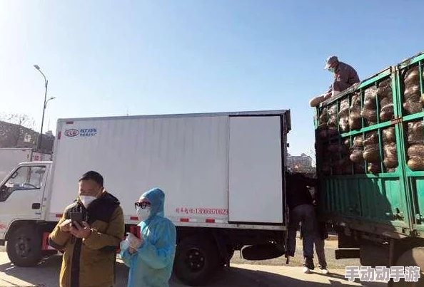泰拉瑞亚：全面指南——解锁南瓜月庆典与召唤感恩鸡的神秘仪式步骤