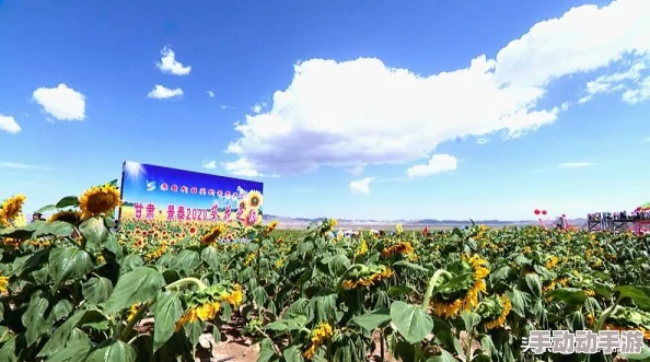 葵花宝典十八岁立刻离开萱草花，勇闯江湖寻找失落的武林秘籍与真相之旅即将开启