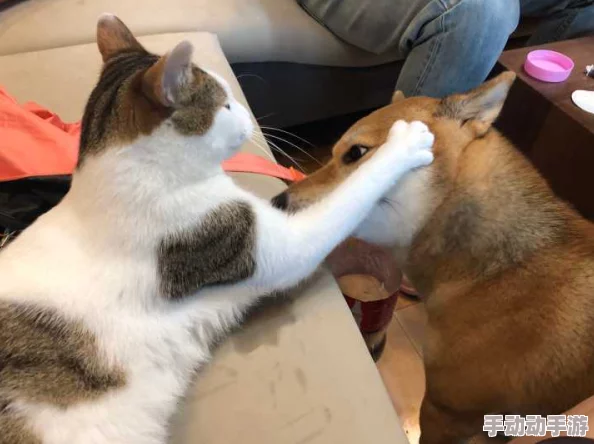 小年轻BBWBBwBBwBBw：在社交媒体上引发热议，探讨当代年轻人的生活方式与价值观变化