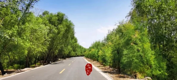 野花视频日本:最新动态与观众反响,带你领略自然之美与文化交融的奇妙旅程 野花视频日本:最新动态与观众反响,带你领略自然之美与文化交融的奇妙旅程