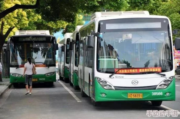 老周陈琳公交车：探讨城市公共交通的便利与挑战，以及如何提升乘客的出行体验与服务质量