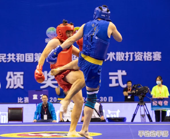 雷电将军腿法脚法娴熟人民网:浅析其在战斗中的应用与传承,探讨技巧背后的历史与文化意义 雷电将军腿法脚法娴熟人民网:浅析其在战斗中的应用与传承,探讨技巧背后的历史与文化意义