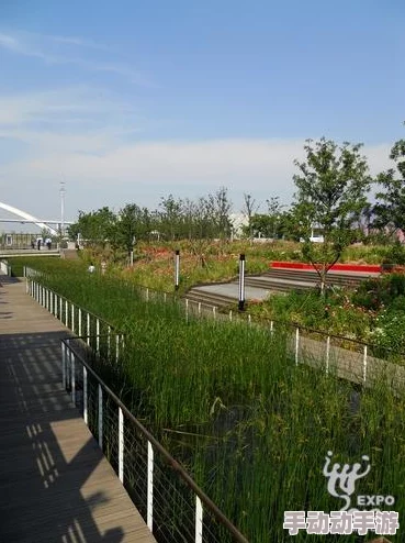 伊春园2024直达入口音响：提升游园体验的声学系统与环境优化设计解析