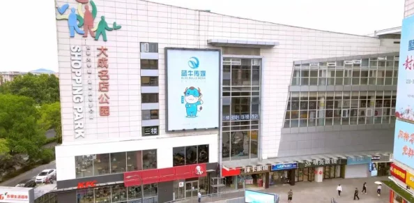 西游女儿国：携手共筑仙林梦，组队系统玩法全解析与策略探索