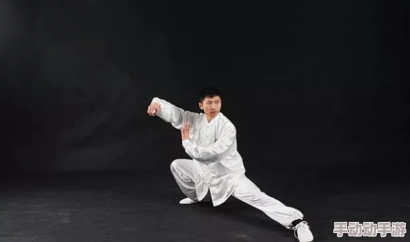 聂小雨大战黑武士：探讨武术对传统文化传承的重要性及当代竞技体育的发展趋势