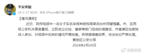 雷电将军被强㶥事件调查进展：警方已锁定嫌疑人并展开追捕行动，受害者心理辅导工作持续进行