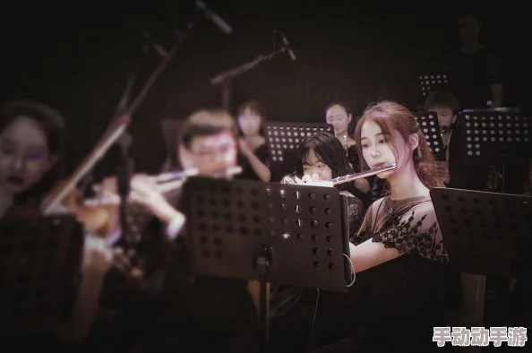 游荡大家庭交响曲：在多元文化的交融中寻找和谐与共鸣的旅程