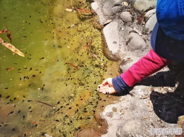 蝌蚪窝一个释放的奇妙旅程：从水中到陆地，生命的蜕变与成长之路