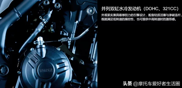 MT世界深度探索：暗夜男的神秘技能全剖析，实战表现如何？
