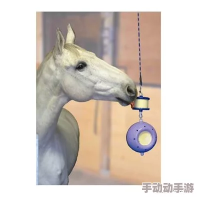 人马配速45分钟是好事还是恶性？分析这一配速对马匹健康和比赛表现的影响，探讨其在赛马行业中的意义与潜在风险