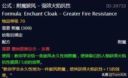 MT4法师终极附魔指南：强效嗜血赋能，攻守策略并蓄，打造全能法术大师