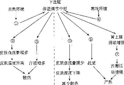 果冻传染煤片：科学家发现新机制揭示其对环境的潜在影响与治理策略进展