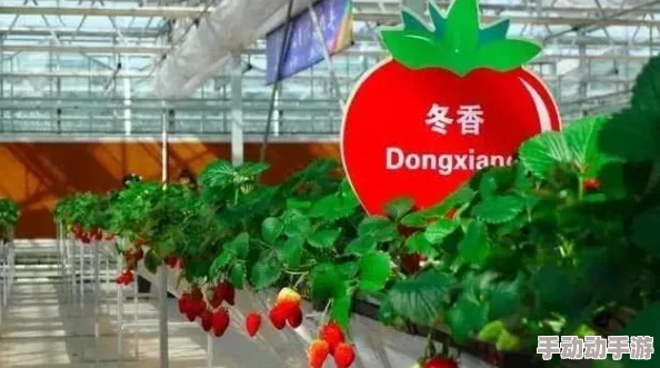 成品短视频软件推荐下载网站：网友热议哪些应用最值得一试，分享使用体验与个人看法！