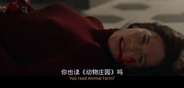 那两团雪球在他的手里小说：讲述了一个关于青春、友谊与成长的故事，展现了主人公在生活中面对挑战时的勇气与坚持