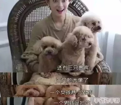 欧美人与禽交：震惊！某知名明星被曝与宠物关系不寻常，网友热议背后真相引发关注