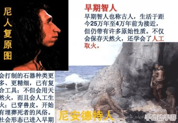 饥饿的阿夷5：在极端环境中生存与适应的心理学研究及其对人类行为的启示