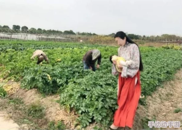 男女拔萝卜：探讨性别角色在传统农耕活动中的表现与影响的实证研究