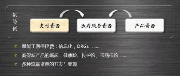 达尔盖的旗帜TYY6 2024：对未来社会变革与文化认同的深刻反思与展望