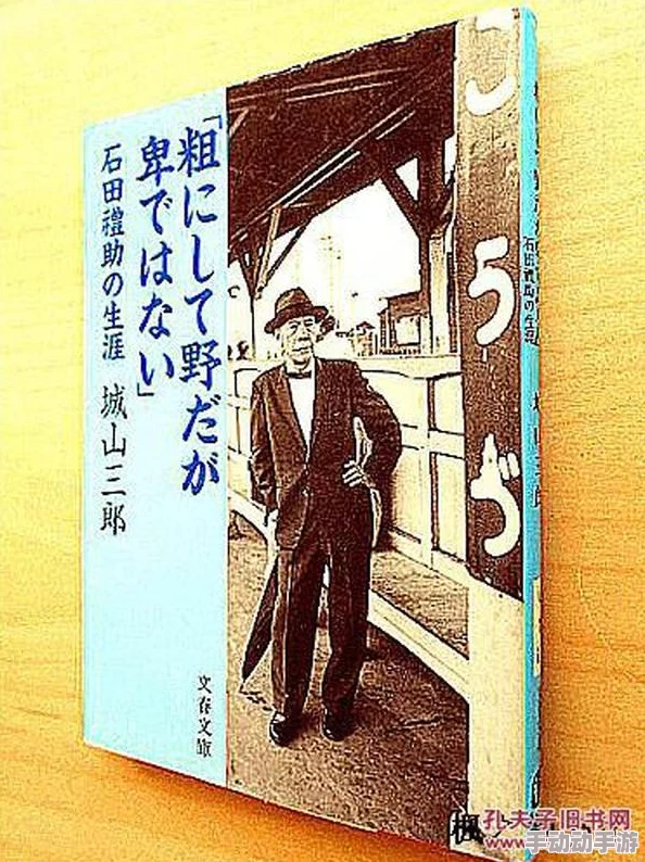 公粗挺进我的秘密：揭示隐藏在生活背后的真实故事与情感纠葛，带你走入不为人知的世界