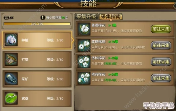 天龙八部手游新区启航指南：资深玩家独家策略，高效升级与财富积累并驱前行