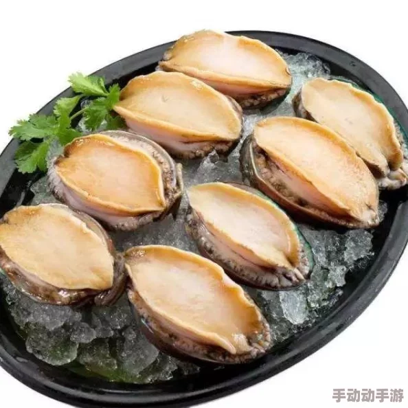 性鲍：最新研究揭示其生物特性与生态环境的相互影响及保护措施进展