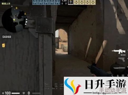 暴躁老姐的csgo心得分享小说：从新手到高手的成长之路与游戏中的趣事回忆