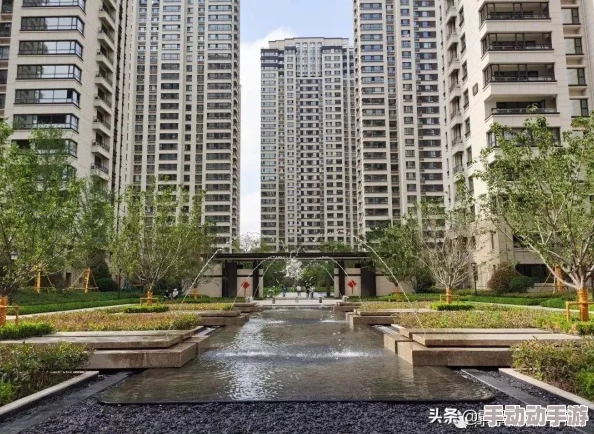 蘑菇视频女尤爆款引发热议，用户反响强烈，平台面临信任危机与整改压力