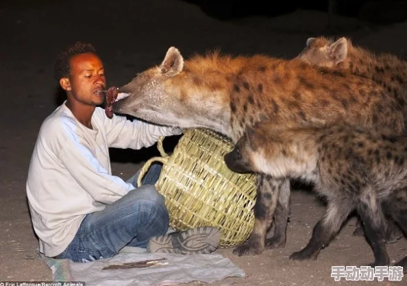 男人和女人一起生猴子：探讨人类与动物基因交叉实验的论理问题及其对科学研究的影响
